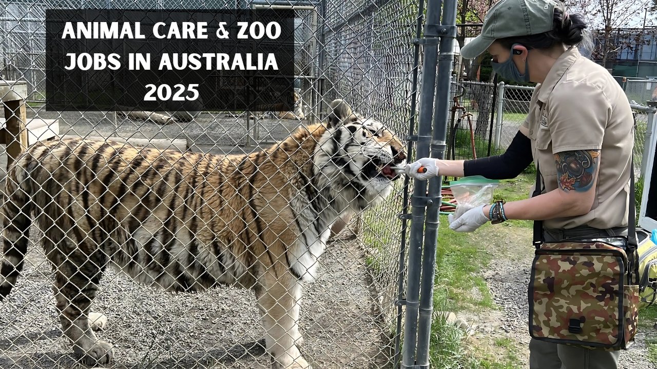 Animal Care & Zoo Jobs in Australia 2025