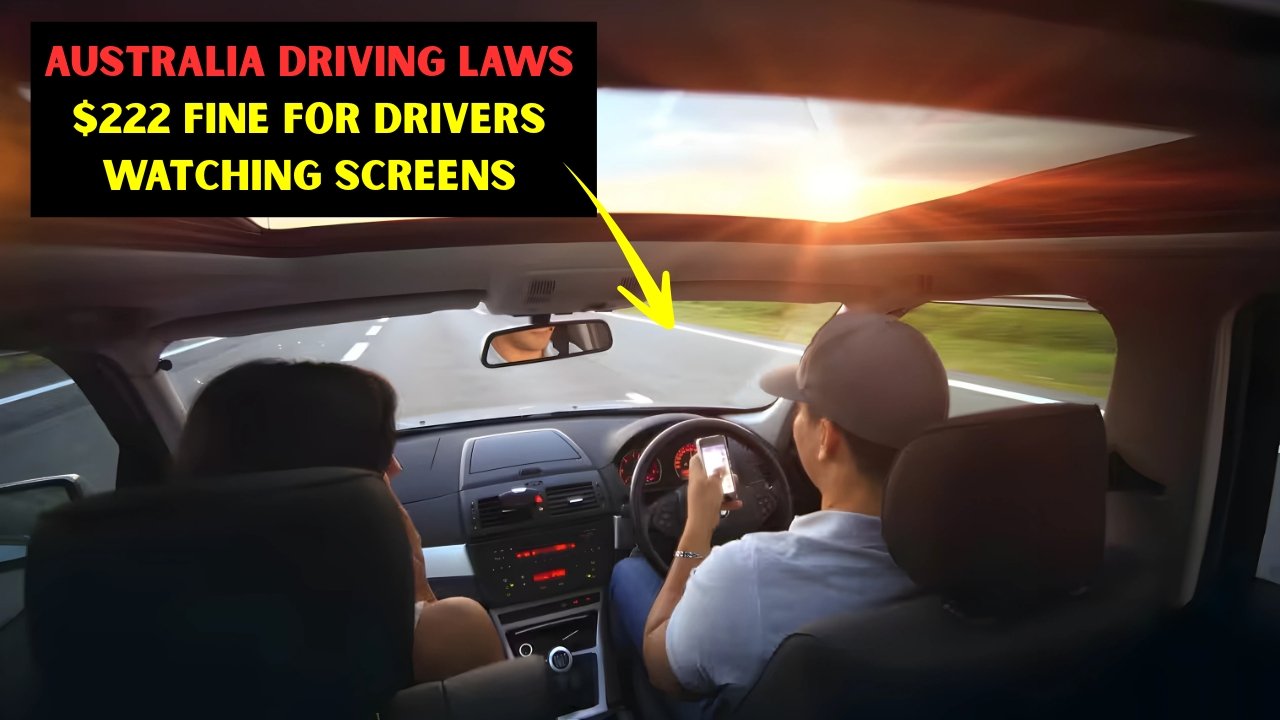 Australia Driving Laws $222 Fine for Drivers Watching Screens