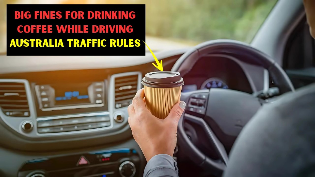 Big Fines for Drinking Coffee While Driving Australia Traffic Rules