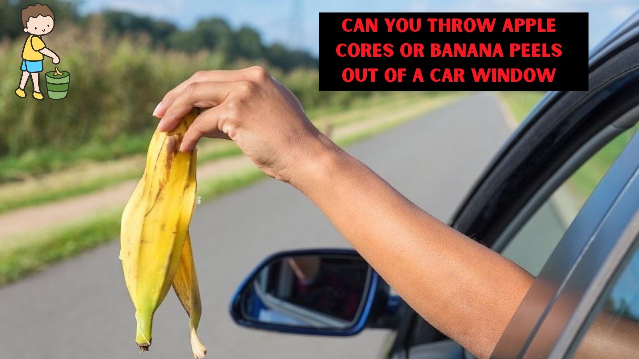 Can You Throw Apple Cores or Banana Peels Out of a Car Window