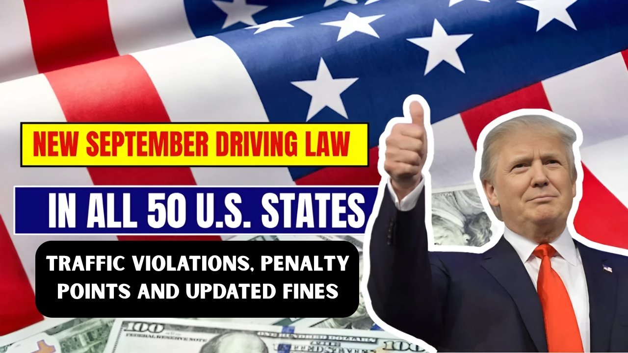 Traffic Violations, Penalty Points and Updated Fines